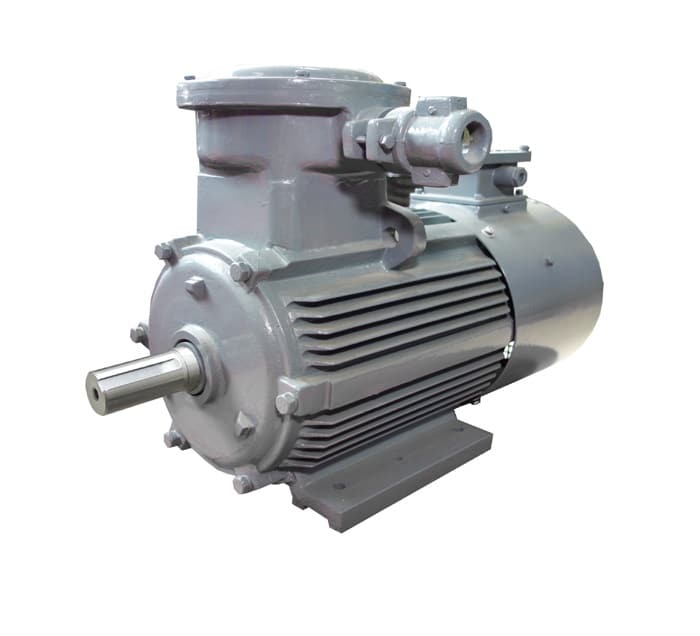 20201219164556_81814 YBBP Series Flameproof Variable frequency Adjustable speed Induction Motor - Image 1