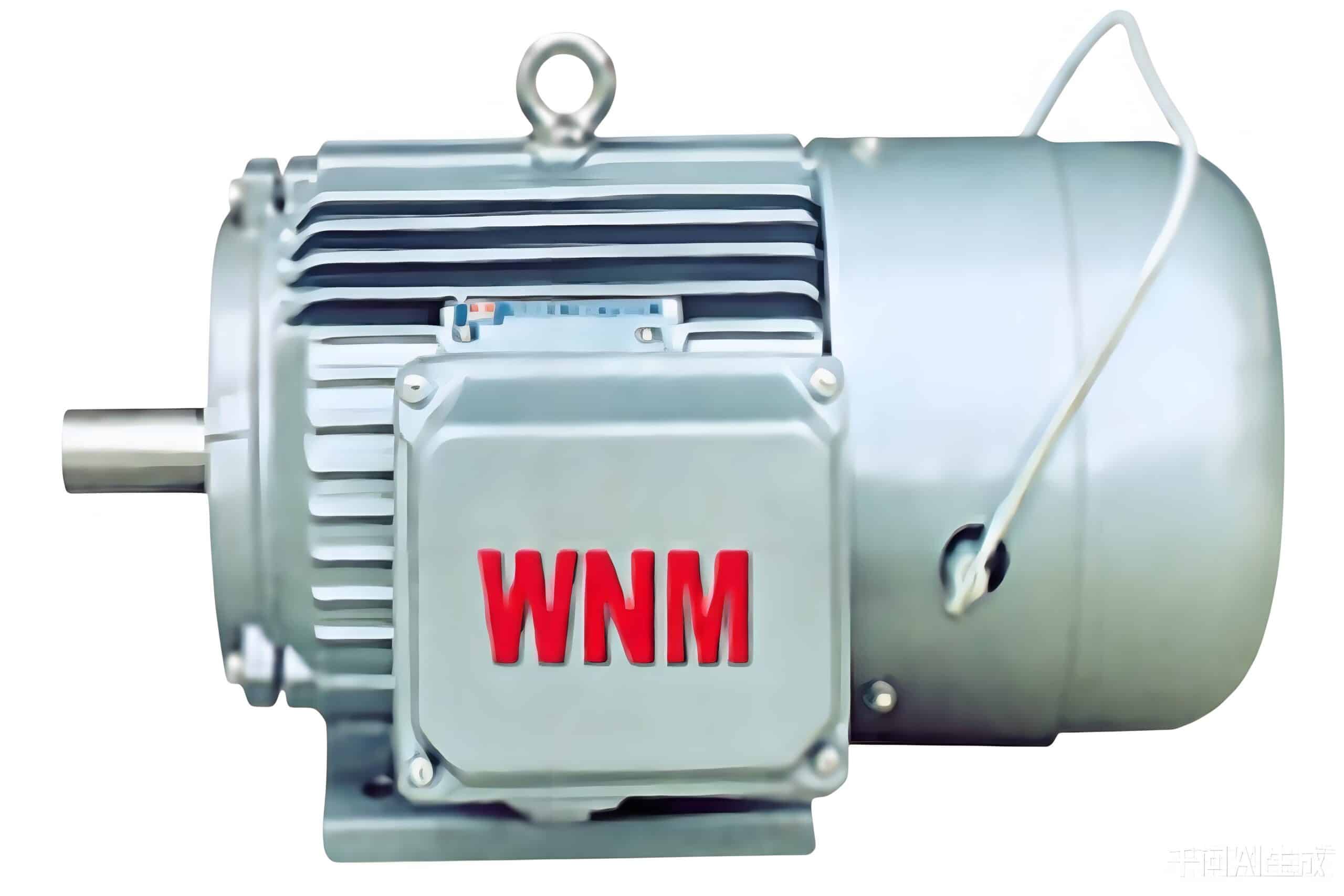 downloaded-image (1) YXEJ Series High Efficiency AC Squirrel-cage Brake Motor - Image 1