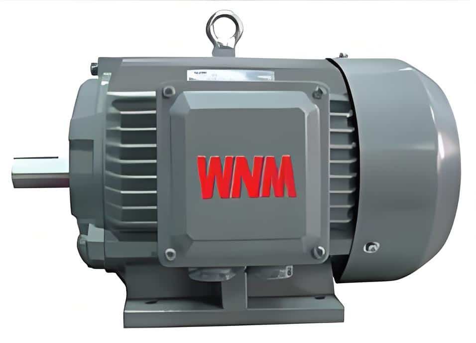downloaded-image (2) YP2 Series Wide Frequency Three Phase Induction Motor - Image 1